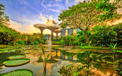 Gardens by the Bay in Singapur