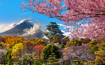 Burg Osaka und Kirschblüte mit Fuji Berg im Hintergrund